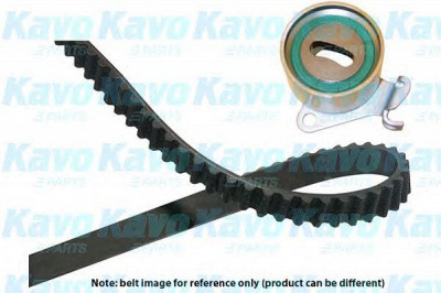 KAVO PARTS dkt5508 -  Комплект ремня ГРМ